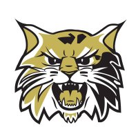 Wayne County Wildcats(@WayneCoBBall) 's Twitter Profile Photo