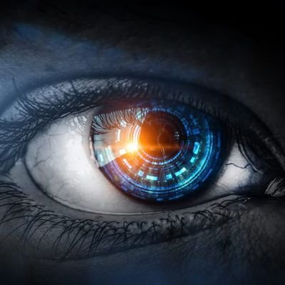 FlaxNevermind's profile picture. I am just a watchful eye.