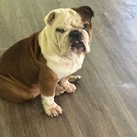 Billy Reid (@hookembaby79) 's Twitter Profile