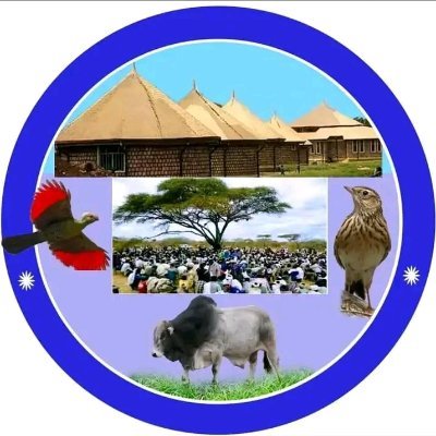 GalmaRari69303's profile picture. 