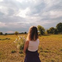 Netysle (@netysle91648) 's Twitter Profile