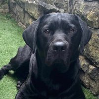 Neil Grainger (@neilgrainger73) 's Twitter Profile Photo Neil Grainger (@neilgrainger73) 's Twitter Profile Photo