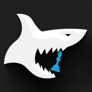 ChessSharkz's profile picture. Chess Sharkz is a Chess Content and Entertainment group. Run by Grandmaster Kayden Troff and Local Reality TV Star Tony Padron.