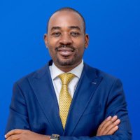 Chamisa Mthwakazi Diaspora(@mthwadiaspora) 's Twitter Profile Photo