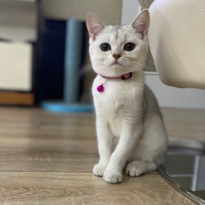 fozsoy's profile picture. 