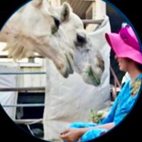 مرواح 🐪🇰🇼💕 (@merwah_noonish) 's Twitter Profile Photo مرواح 🐪🇰🇼💕 (@merwah_noonish) 's Twitter Profile Photo