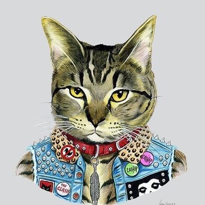 Un gato Anarkopunk
He/Him, historia,  DIY,música, tatuajes y anarquismo.
🛹🚲
Los tweets son personales.
