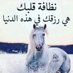 منصور الجهني (@aljhny_mns28272) Twitter profile photo منصور الجهني (@aljhny_mns28272) Twitter profile photo