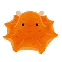 ソラ (@soraharuno_xiv) 's Twitter Profile Photo