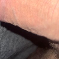 Cesar Moving (@cesarmovin90821) 's Twitter Profile