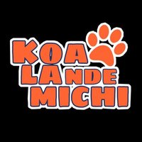 Koa La Nde Michi 😺😸😽😼😻(@koalandeMichi) 's Twitter Profile Photo