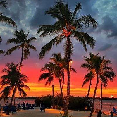 orizzlemynizzle's profile picture. 