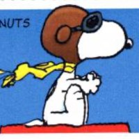 Not a Kiddo (@error502_null) 's Twitter Profile