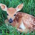 Judy Burton (@jud54448) Twitter profile photo Judy Burton (@jud54448) Twitter profile photo