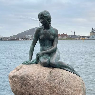 roizog's profile picture. 