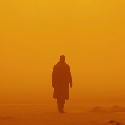 TexhKnight's profile picture. Following the process ⏳⌛️