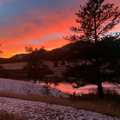 CaseySawmill's profile picture. GO Broncos!
