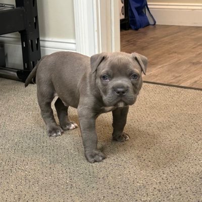 hoyact's profile picture. 