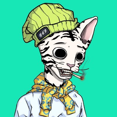 Yosel1211's profile picture. L�Anti-gone de la nouille ..