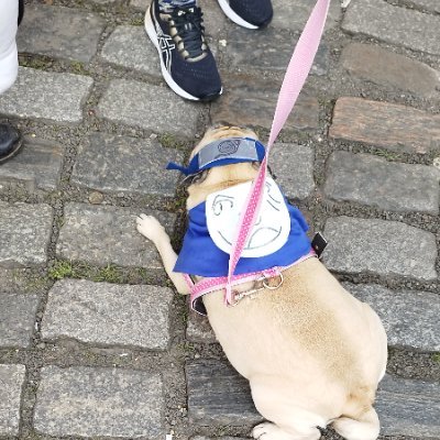 ViralizouV's profile picture. Dentista🦷❤️, 25 anos.