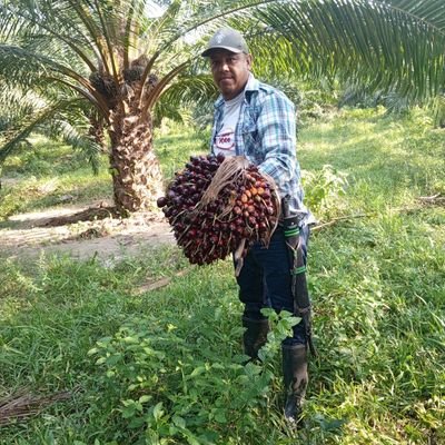 🇻🇪
♥Papá de Joviatnny Esthefanny y Lionhel Mathias ♥ Ingeniero de la Producción Agropecuaria. Trabajando en Palma Aceitera 🌴 🚜 🐃