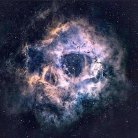 XI•XXI (@zerromatter) 's Twitter Profile