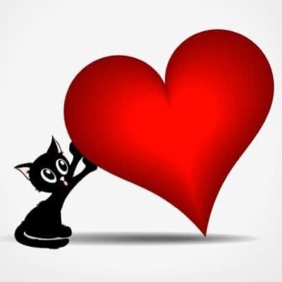 ode_gloria's profile picture. critica , política ; el mejor candidato. amo La Paz y la verdad!