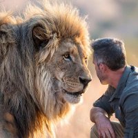 Kevin Richardson(@Lionwhisperer4) 's Twitter Profile Photo