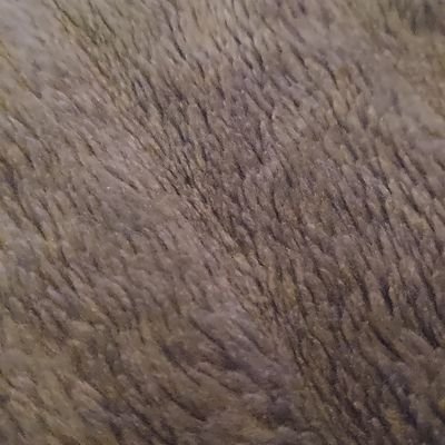 Trinity698184's profile picture. 