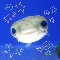 ➤ wattarubee ˚ ༘ ೀ⋆。˚ (@urnametravis) 's Twitter Profile