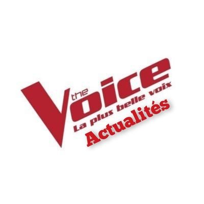 thevoice_actu Profile Picture
