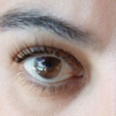 nuezabasol's profile picture. 