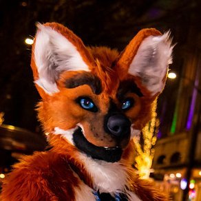 Hello, I'm Silver, a maned wolf from WA looking for love, friends, fun, and wisdom. If you have any of those to share, please say hello. :3

Icon: @Bluehasia