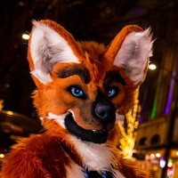 @datsilverdoggie.bsky.social (@datsilverdoggie) 's Twitter Profile