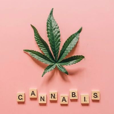 High! Anecdotes of all things Cannabis. A kind place to share and appreciate personal experiences and enlighten others on the magic of this magnificent plant.