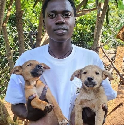 My name is Milly, and I am based in Uganda, where I run a sanctuary for stray animals and children without education. Please consider supporting my cause 🙏
