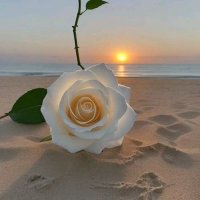 Samia (@samia0907) 's Twitter Profile