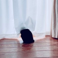 mae.mae. (@passive_ukemi) 's Twitter Profile