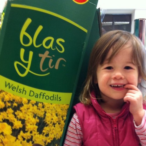 huwthomas100's profile picture. MD of Puffin Produce - the home of Welsh fresh produce - and champions of the Pembrokeshire Early Potato!