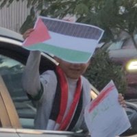 karrar🔻 (@kmkarra) 's Twitter Profile