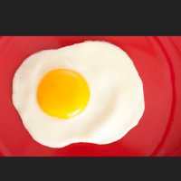 TheFriedEgg (@the_fried_egg) 's Twitter Profile