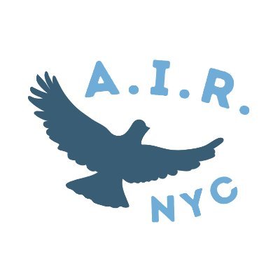 a_i_r_nyc Profile Picture