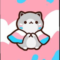 ts / ladyboy / shemale / trans lover - promo page (@d4lmeron) 's Twitter Profile Photo ts / ladyboy / shemale / trans lover - promo page (@d4lmeron) 's Twitter Profile Photo