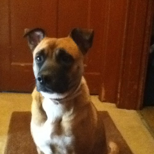 wifurlow's profile picture. my name is willie and i play  basketball  followww me ladies