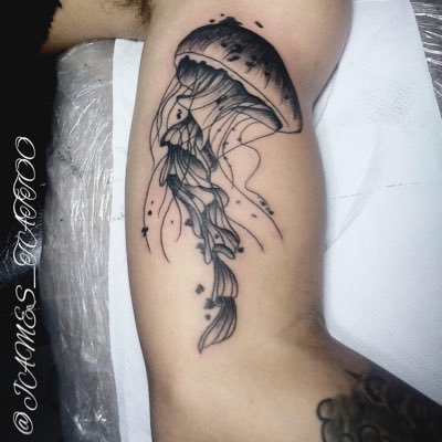 Gsaban1454's profile picture. Pregunta lo que quieras saber.