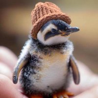 Penguinaire(@Penguinaire) 's Twitter Profile Photo