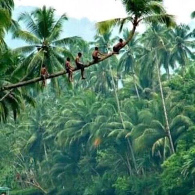 v_manian32921's profile picture. 