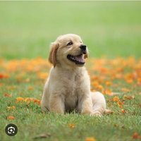 unsponsored Compassion (@compasionn4life) 's Twitter Profile