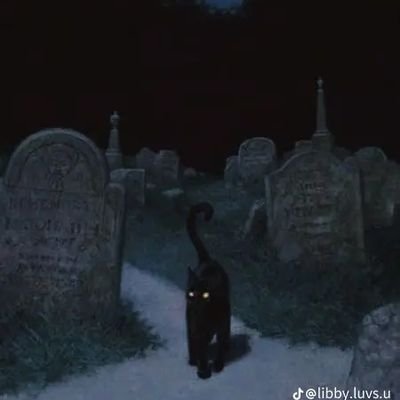 ❤️Rox🖤🐺🦇🥀💀