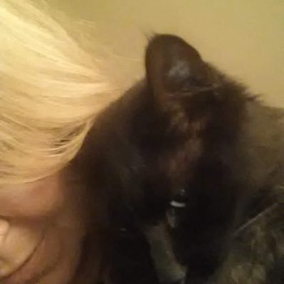 CarolynDarney's profile picture. 